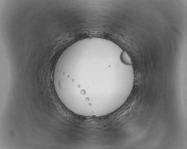 X0000111430913200907131037