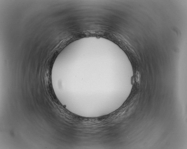 X0000111430915200907131037