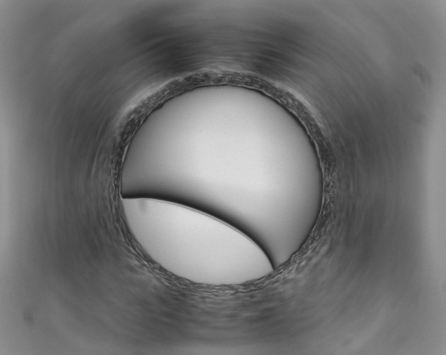 X0000111430919200907131037
