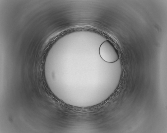 X0000111430920200907131037
