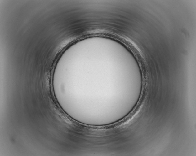 X0000111430921200907131037
