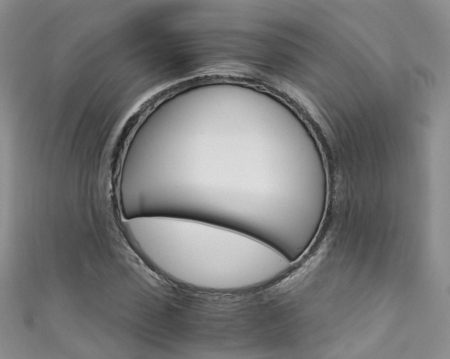 X0000111430923200907131037