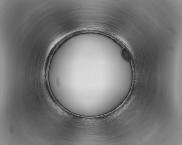 X0000111430928200907131037