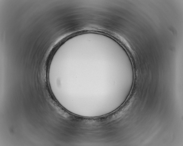 X0000111430931200907131037