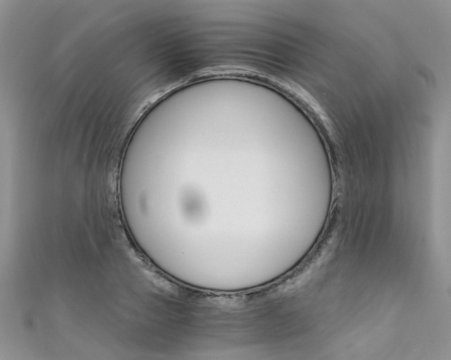 X0000111430937200907131037