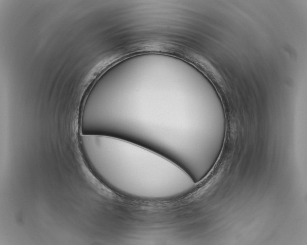 X0000111430938200907131037