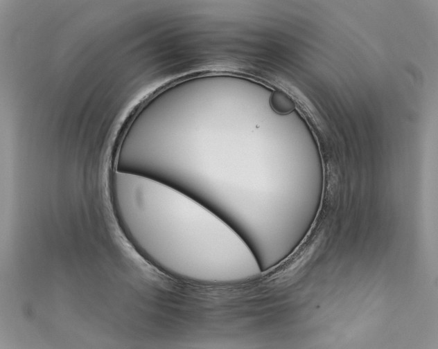 X0000111430939200907131037