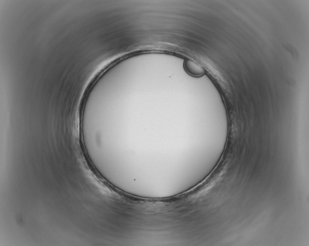 X0000111430940200907131037