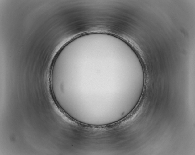 X0000111430941200907131037