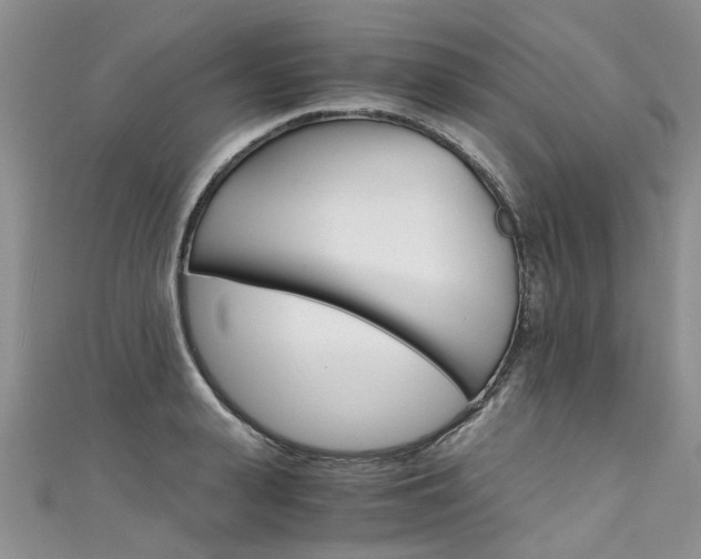 X0000111430943200907131037