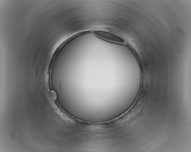 X0000111430944200907131037