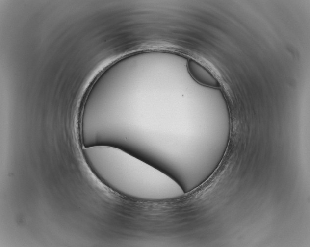 X0000111430947200907131037