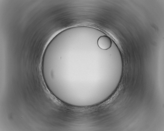 X0000111430948200907131037
