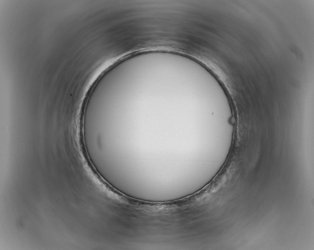 X0000111430949200907131038