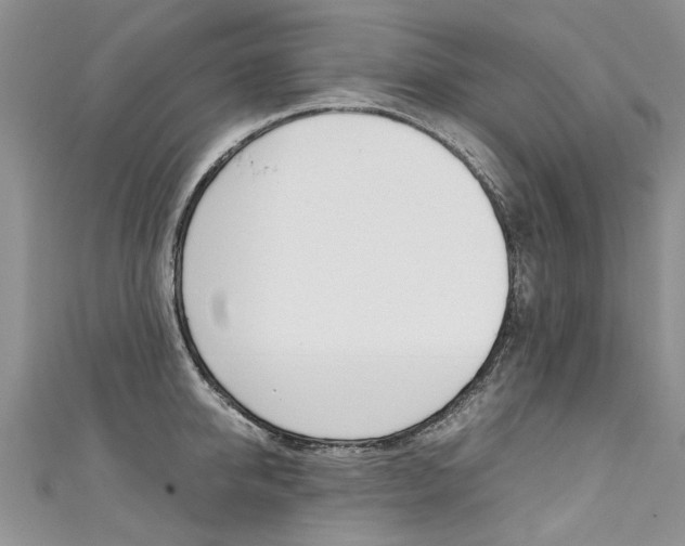 X0000111430950200907131038