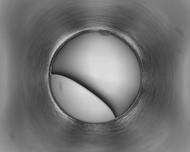 X0000111430951200907131038