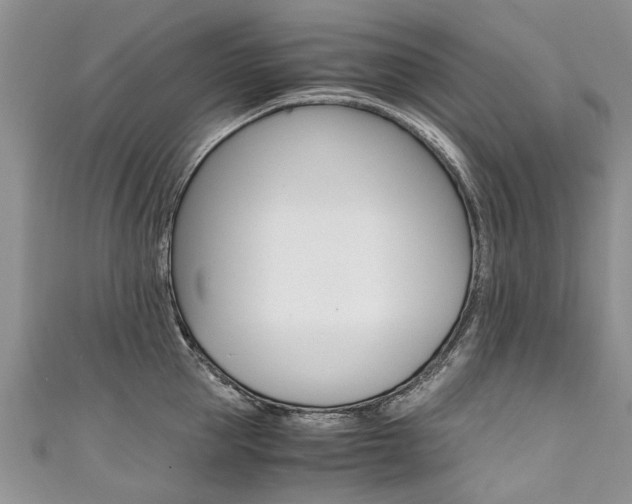 X0000111430953200907131038