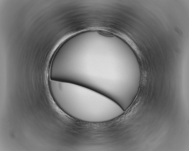 X0000111430955200907131038