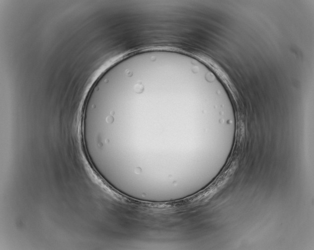 X0000111430957200907131038
