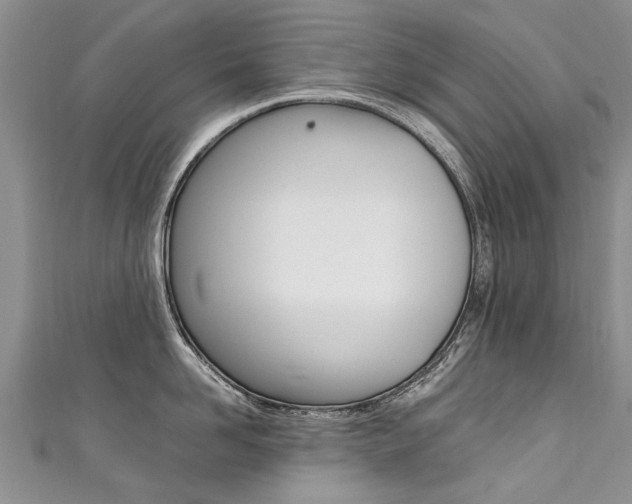 X0000111430958200907131038