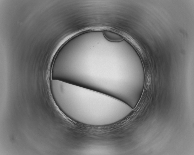 X0000111430959200907131038
