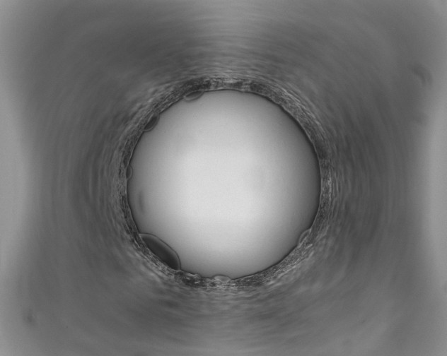 X0000111430961200907131037