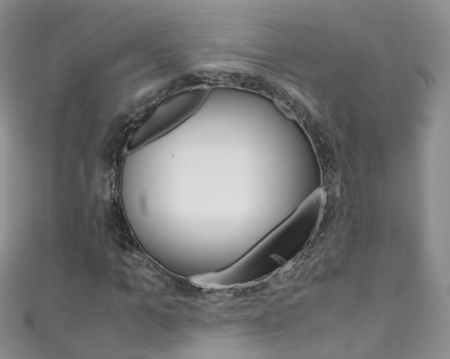 X0000111430965200907131037