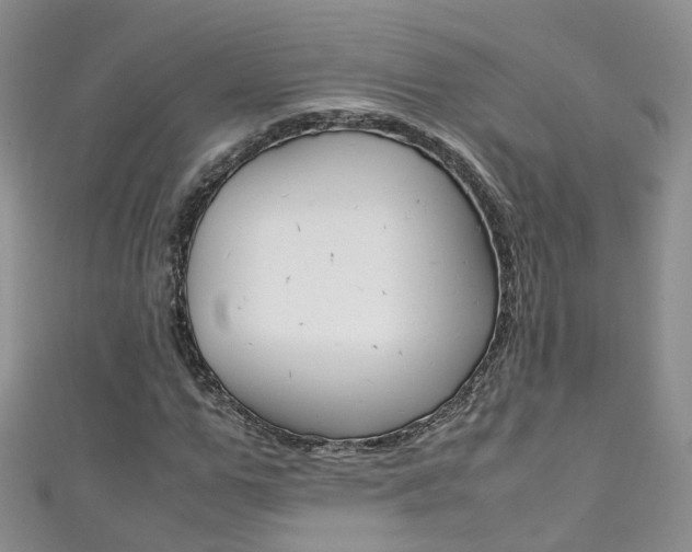 X0000111430967200907131037