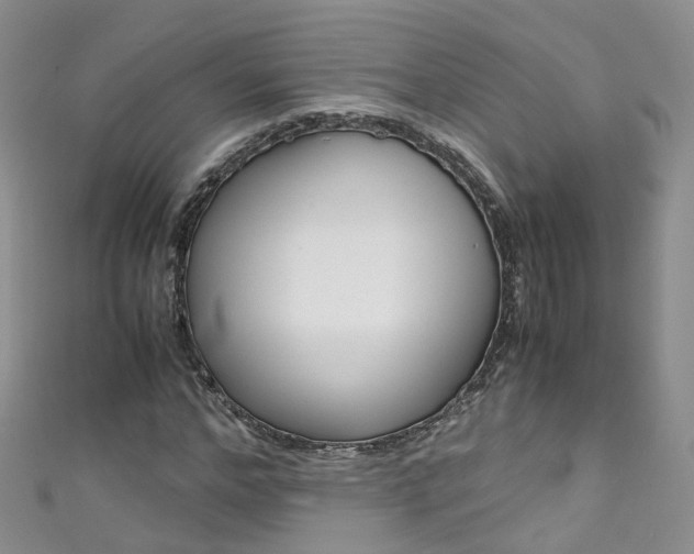 X0000111430968200907131037