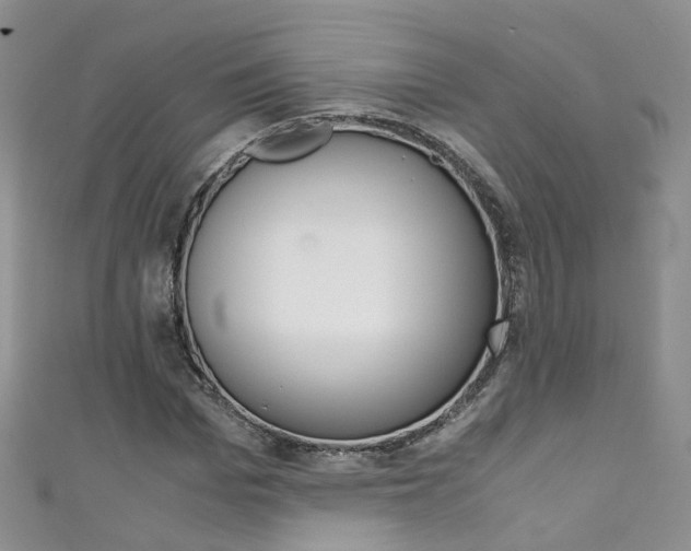 X0000111430969200907131037