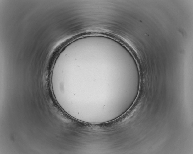 X0000111430971200907131037
