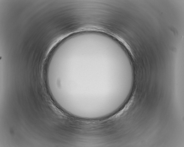 X0000111430973200907131037