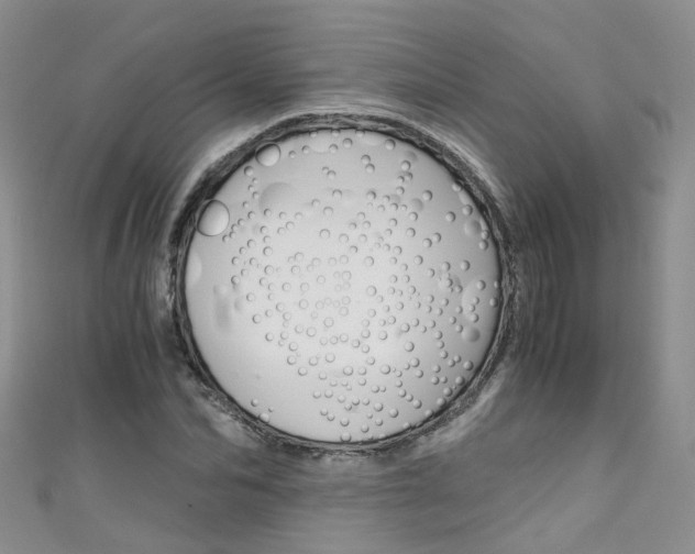 X0000111430974200907131037