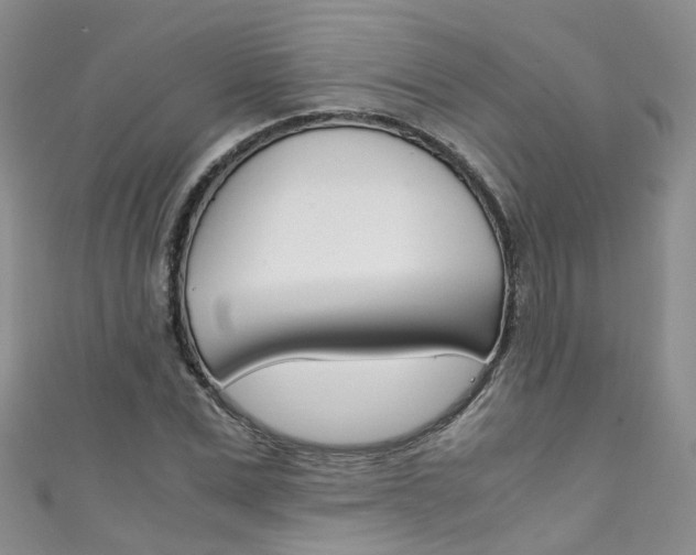 X0000111430975200907131037