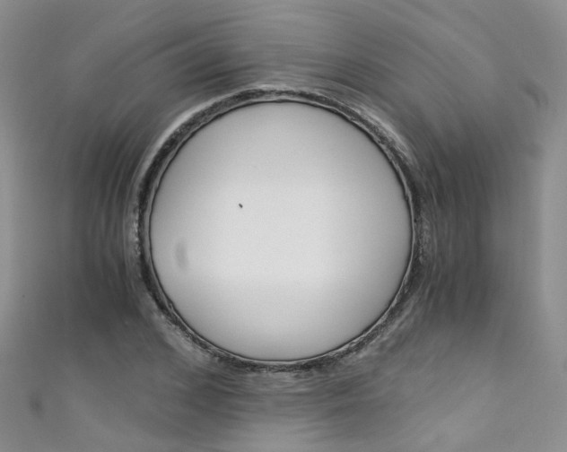 X0000111430976200907131037