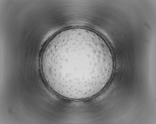 X0000111430978200907131037
