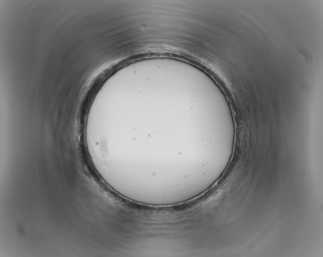 X0000111430979200907131037