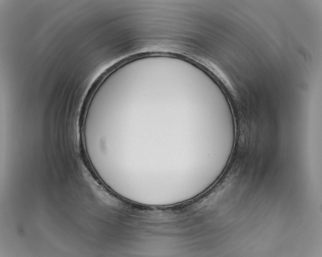 X0000111430980200907131037