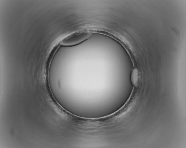 X0000111430981200907131037