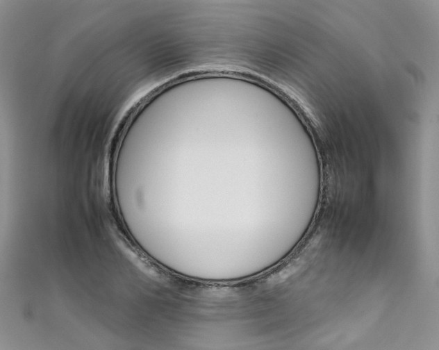 X0000111430982200907131037