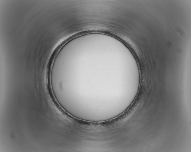 X0000111430983200907131037