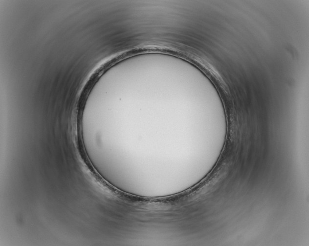 X0000111430984200907131037