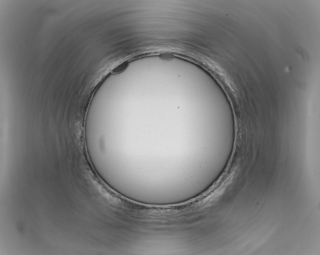 X0000111430985200907131037