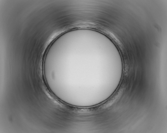 X0000111430986200907131037