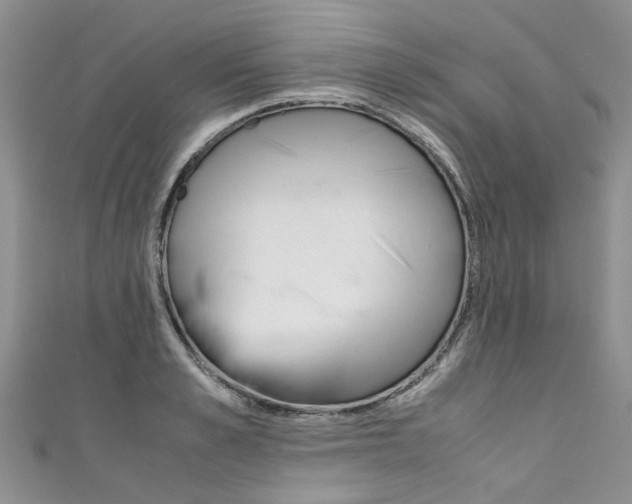 X0000111430989200907131037