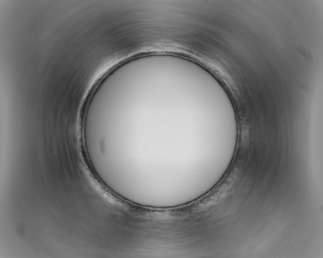X0000111430990200907131037