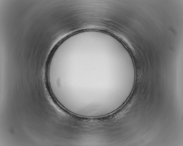 X0000111430991200907131037