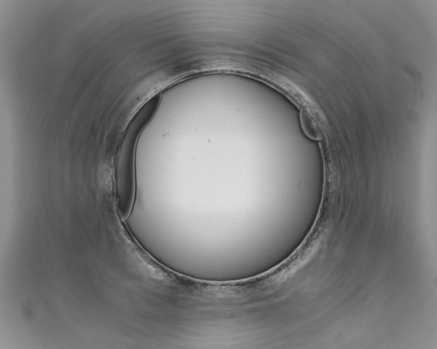 X0000111430993200907131037