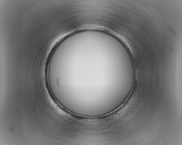 X0000111430995200907131037