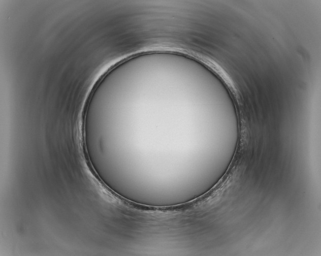 X0000111430996200907131037